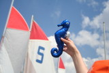 Синий конёк - переходящий приз (снимок Никиты Гребенщикова)