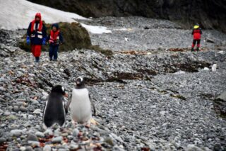 Прогулка с пингвинами